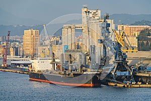 Port of Savona-Vado, bulk carrier in dry bulk terminal. Italy