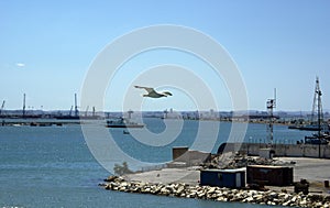 Port of tunis photo