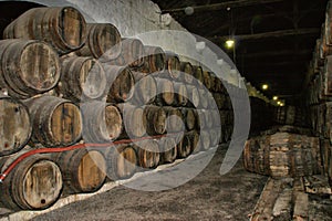 Port Wine Cellars in Vila Nova de Gaia