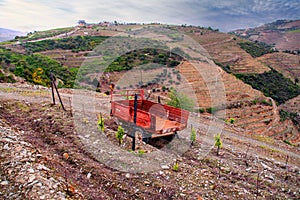 Port wine vineyards landscape and old red cart