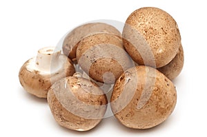Portabella and button mushrooms photo
