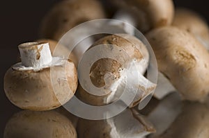 Portabella Mushroom on Glass