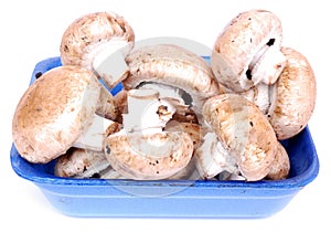 Portabellini mushrooms