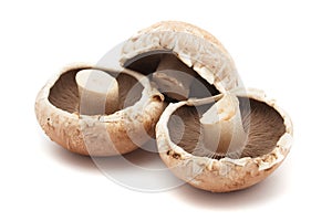 Portabello mushrooms photo