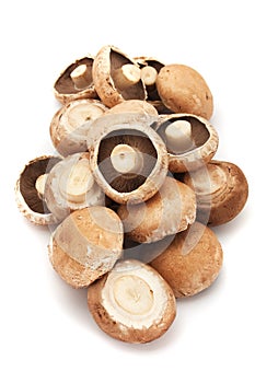 Portabello mushrooms