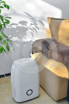 Portable dehumidifier colect water from air