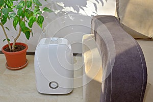 Portable dehumidifier colect water from air