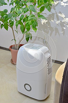 Portable dehumidifier colect water from air