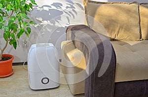 Portable dehumidifier collect water