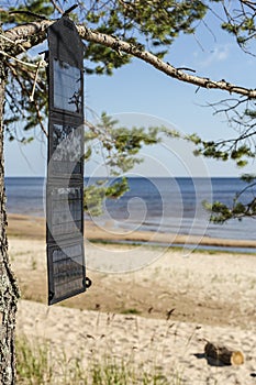 Portable foldable solar panel battery hanging on the outdoors on a pine tree