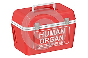 Portable fridge for transporting donor organs, 3D rendering