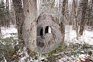 Portable Hunting Blind