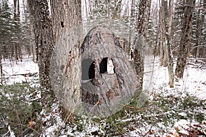 Portable Hunting Blind photo