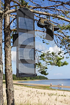 Portable solar panel hanging on a pine tree, and charges the mobile phone in the field conditions