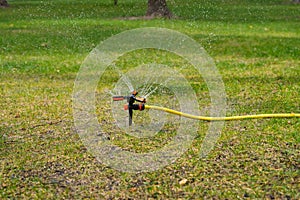 The portable sprinkler sprinkles abundantly water in the summer heat on the lawn to recover dried grass.