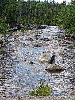 A Portage in the Boundary Waters Canoe Area photo