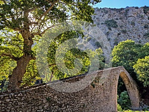 Portaikos River single arch Bridge at Pyli, Greece