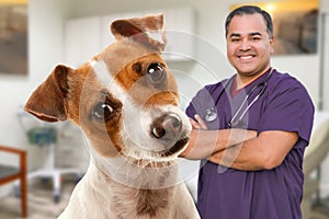 An Adorable Jack Russell Terrier In Office With Male Hispanic Veterinarian Behind photo