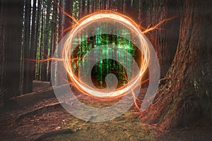 Portal between forest and green computer code reality