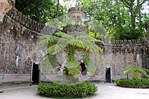 Portal of guardians and treelike fern in Quinta da Regaleira in Sintra photo