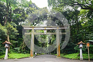 Portal of wood gate temple, Torii of Meiji Jingu Shrine in Central Tokyo (Shibuya), Japan. Meiji Jingu Shrin is the Shinto shrine