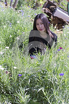 Portarit Thai woman with purple flower garden photo