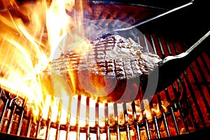 Porterhouse beef steak on the coals