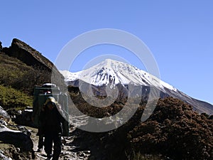 Porters in Langtang Trekking