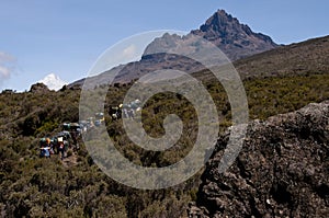 Porters in moorland, Mawenzi, Kilimanjaro