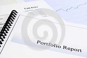 Portfolio Report