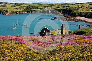 Porth Wen ol brick works