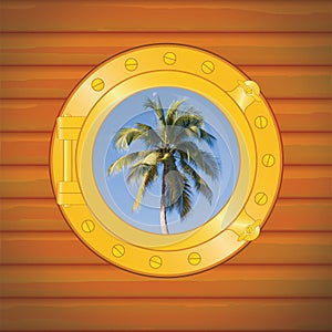 Porthole palm