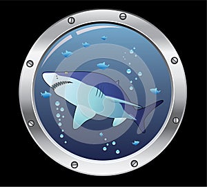 Porthole and a shark