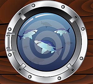 Porthole and sharks