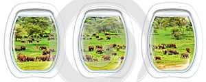 Porthole windows on Elephants