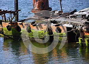 Portholes on Mary D Hume Shipwreck