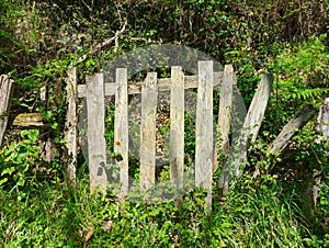 Portilla, typical gate in the countryside in Asturias, Spain photo