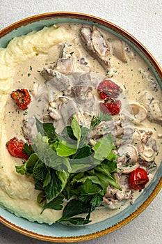 Portion of beef stroganoff with mashed potato