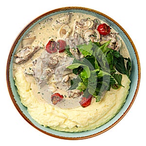 Portion of beef stroganoff with mashed potato