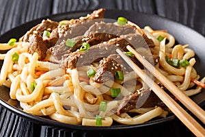 Portion of beef teriyaki with udon noodles, carrots and green on