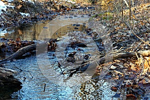 Portion of Brandywine Creek State Park