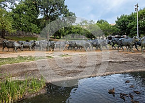 Portion of bronze steer sculpture in Pioneer Plaza in Dallas, Texas.