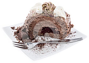 Portion of Chocolate Cake on white