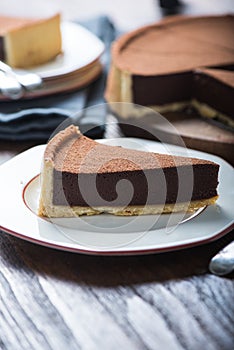 Portion of chocolate tort or cake