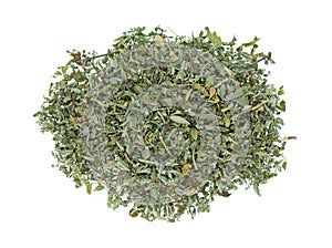 Portion of damiana leaf on a white background