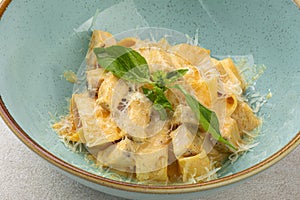 Portion of fettuccine pasta with chicken