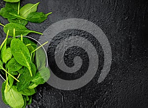 Portion of fresh Spinach close-up shot