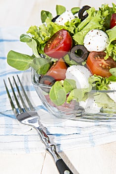 Portion of fresh Tomato-Mozzarella Salad