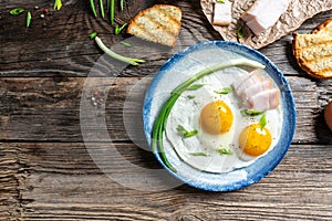 Portion of fried eggs with lard bacon. National Ukrainian or belorussian food. banner, catering menu recipe place for text, top