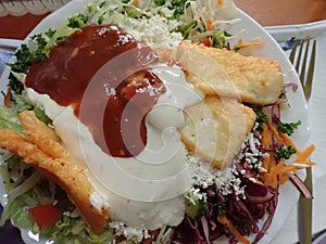 Portion of haloumi with salad